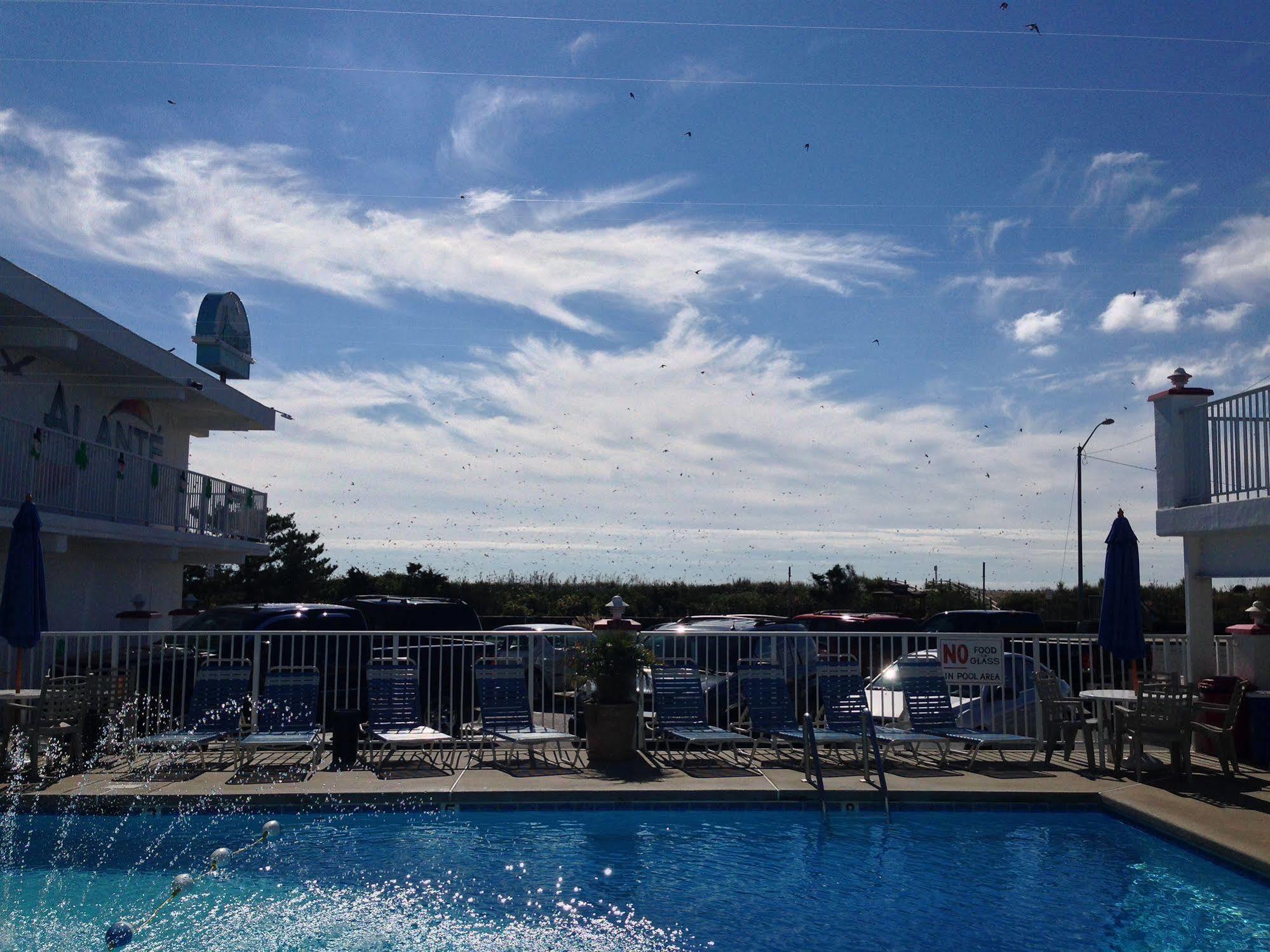 Alante Oceanfront Motor Hotel North Wildwood Kültér fotó